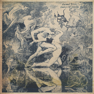 Homecoming King (Acoustic Version)