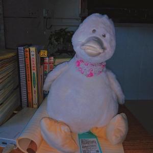 快回来吧 (翻自 李凯馨)