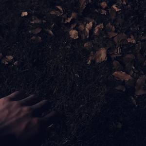 李飘飘 - 空白格