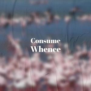 Consume Whence