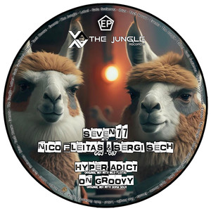 Oh Groovy (Original Mix)