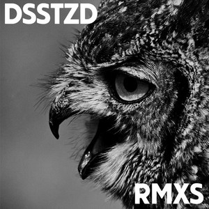 DSSTZD RMXS