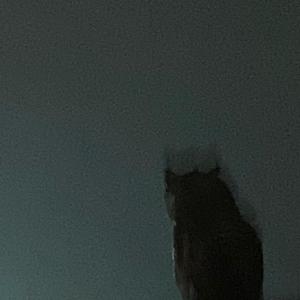 ATM JUMPIN' (Explicit)