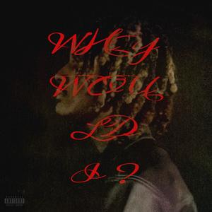 WHY WOULD I ? (Explicit)