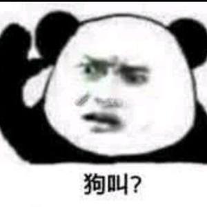 520（brod by YXT）