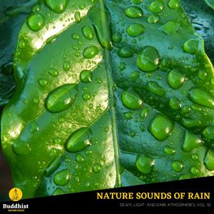 Nature Sounds of Rain - Dewy, Light and Dark Atmospheres, Vol. 10
