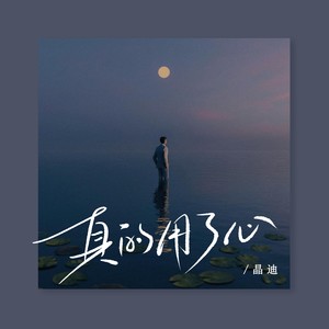 晶迪 - 真的用了心