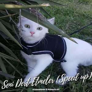 Seni Dert Etmeler (Speed Up)