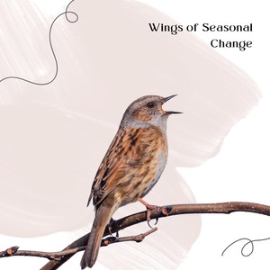 The Dance of the Changing Winds
