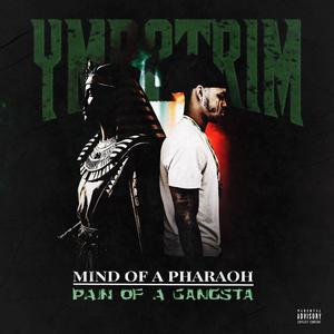 Dark Times (feat. Nolimitt) (Explicit)