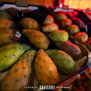 TERRONI (feat. Vins SFB & Vincenzo Kira) (Explicit)