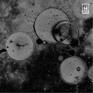 Brain - Can We Do One More?
