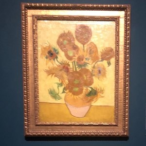 水星記 吉他伴奏 (改编版原唱: 郭顶|女生版)