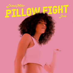 Pillow Fight (Instrumental Version)