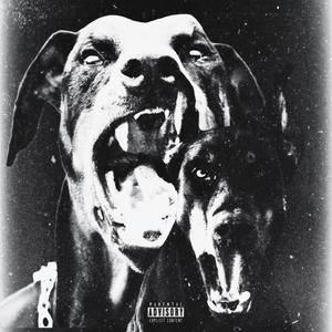 DOBERMANN (Explicit)