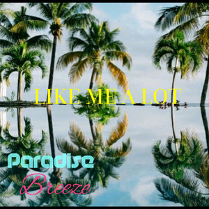 Like Me A Lot (Explicit)