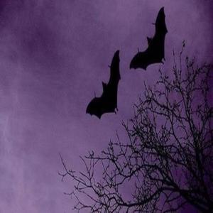 leaving (feat. six days after christmas)