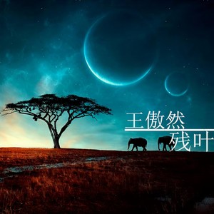 外套