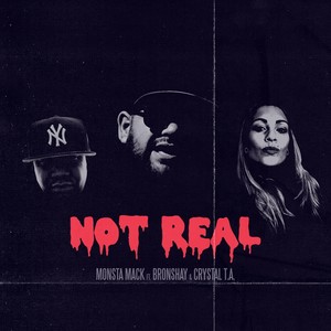 Not Real (feat. Bronshay & Crystal T.A.) (Explicit)