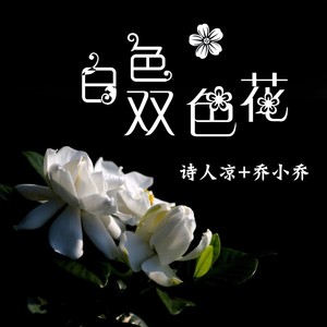 白色双色花