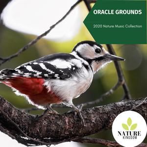 Oracle Grounds - 2020 Nature Music Collection