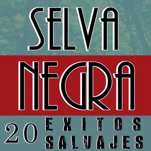 20 Exitos Salvajes