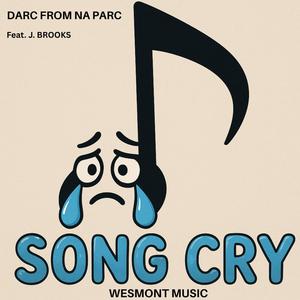 SONG CRY