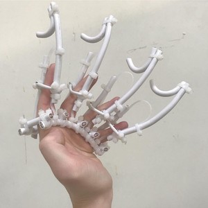 Strelitzia (Live|Explicit)