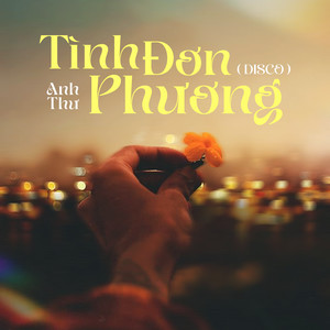 Tình Đơn Phương (Disco)