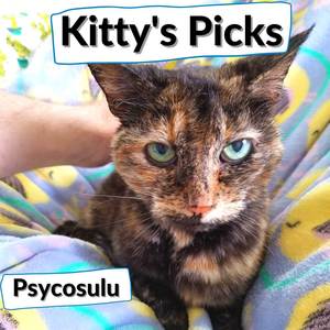 Kitty's Picks