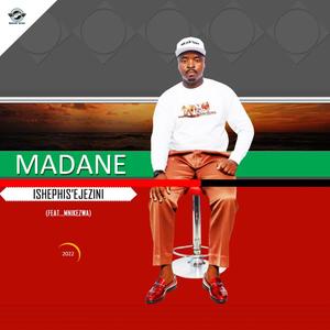 Ishephis' ejezini (feat. Mnikezwa Ngubane) (Radio Edit)