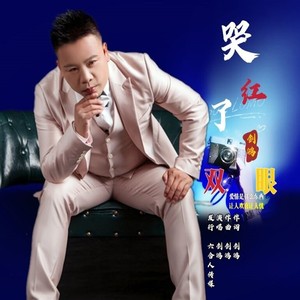 哭红了双眼-剑鸿