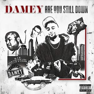 Are You Still Down (feat. Cheezeondaslap) (Explicit)