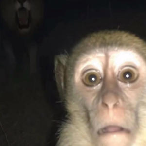 Mace (feat. 2Sev) (Explicit)