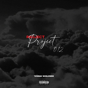 Project 012