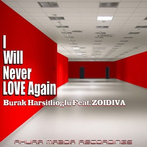 I Will Never Love Again