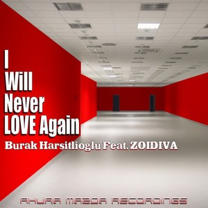 I Will Never Love Again (Original Mix)