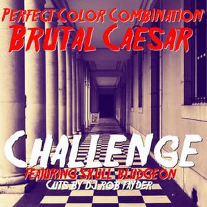 Challenge (feat. Skull Bludgeon, DJ Rob Fayder & Brutal Caesar) [Explicit]