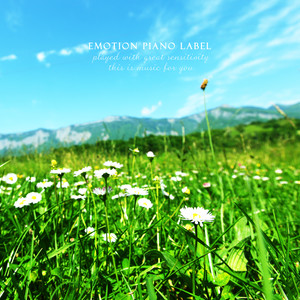 햇빛으로 물든 창가에서 (In the sunny window)