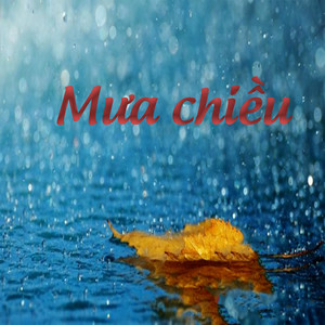 Mưa chiều