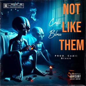 Not Like Them (Explicit)