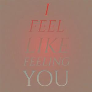 I Feel Like Feeling You