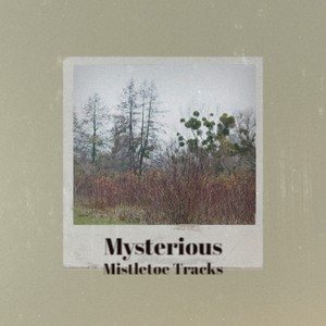 Mysterious Mistletoe Tracks