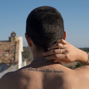 ANIMALES MÁS QUE HUMANOS