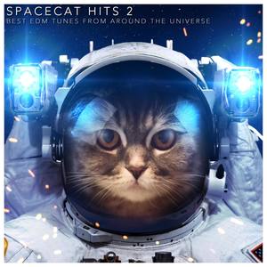 Spacecat Hits 2