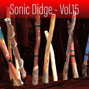 Sonic Didge, Vol. 15 (Explicit)