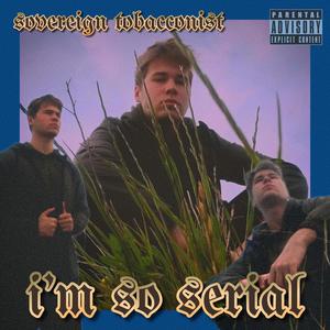 I'm So Serial (Explicit)