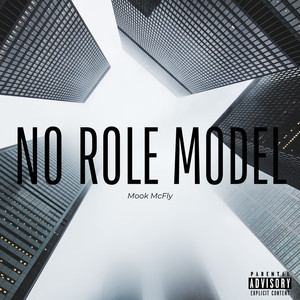 No Role Model (Explicit)