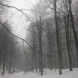 Highsky (Explicit)