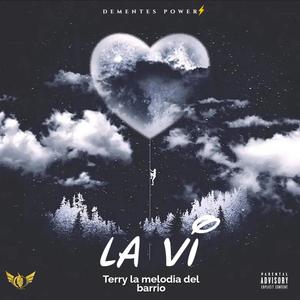 La Vi (feat. Terry la melodia del barrio) [Explicit]